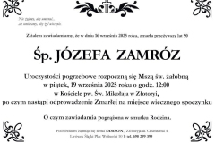 zamroz