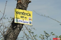 Ostrzyca-Proboszczowicka-szczyt-panorama-07