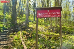 Ostrzyca-Proboszczowicka-szlak-rezerwat-natura2000-0103
