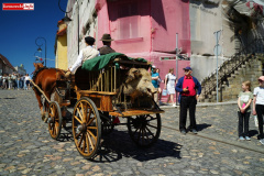 izerska-parada-powozow-2026-48