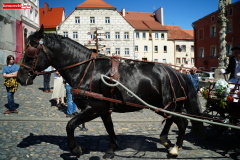 izerska-parada-powozow-2026-70