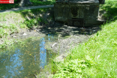park-miejski-w-Lwowku-Slaskim-staw-03