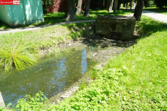 park-miejski-w-Lwowku-Slaskim-staw-04
