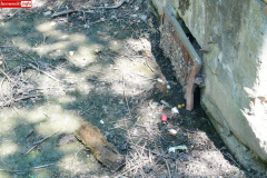 park-miejski-w-Lwowku-Slaskim-staw-05