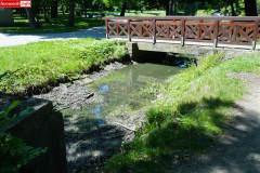 park-miejski-w-Lwowku-Slaskim-staw-06