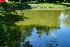 park-miejski-w-Lwowku-Slaskim-staw-09