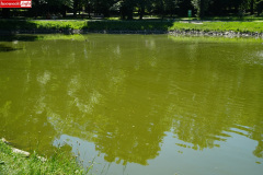 park-miejski-w-Lwowku-Slaskim-staw-10