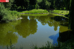 park-miejski-w-Lwowku-Slaskim-staw-13