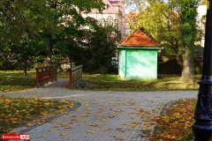 Lwowek-Slaski-park-miejski-5