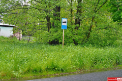 Plakowice-przystanek-pokrzywy-4