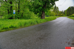 Plakowice-przystanek-pokrzywy-7