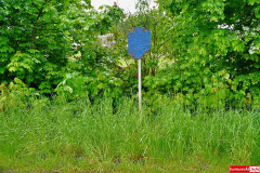 Plakowice-przystanek-pokrzywy-9
