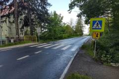 plakowice-DSDiK-DW-364-przejscie-3