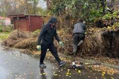 Polska-Przyszlosc-Pszczol-04