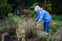 Polska-Przyszlosc-Pszczol-12