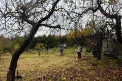 Polska-Przyszlosc-Pszczol-13