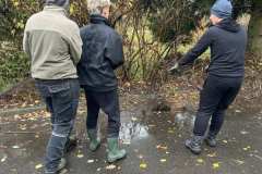 Polska-Przyszlosc-Pszczol-15