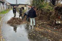 Polska-Przyszlosc-Pszczol-16