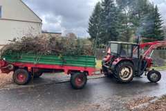 Polska-Przyszlosc-Pszczol-17