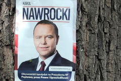 dab-pokoju-Wlen-pomnik-przyrody-4