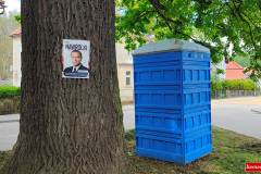 dab-pokoju-Wlen-pomnik-przyrody-5