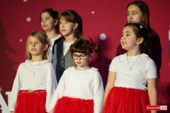 Przeglad-Koled-w-Lwowku-Slaskim-2026-004