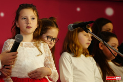 Przeglad-Koled-w-Lwowku-Slaskim-2026-082