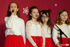 Przeglad-Koled-w-Lwowku-Slaskim-2026-085