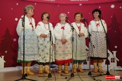 Przeglad-Koled-w-Lwowku-Slaskim-2026-094