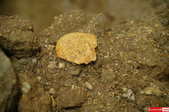 Radomice-kosciol-cmentarz-kosci-07