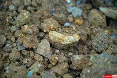 Radomice-kosciol-cmentarz-kosci-09