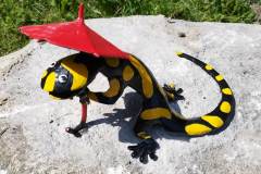 salamandra-swieradow-czerniawa-07