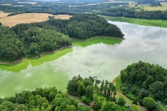 Jezioro Pilchowickie sinice zielenice