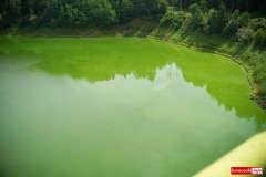 Jezioro-Pilchowickie-sinice-zielona-woda-2023-15