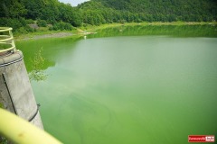 Jezioro-Pilchowickie-sinice-zielona-woda-2023-16