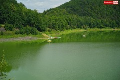 Jezioro-Pilchowickie-sinice-zielona-woda-2023-18