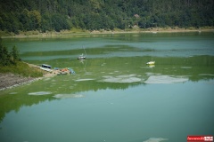 sinice-zielona-woda-jezioro-pilchowickie-10