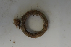 zapusta-skarby-archeolog-DWKZ-5