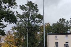 skutki-wichury-powalone-drzewa-102