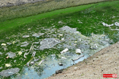 Pilchowice-jezioro-woda-06