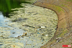 Pilchowice-jezioro-woda-18
