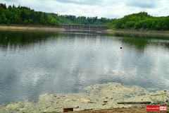 Pilchowice-jezioro-woda-20