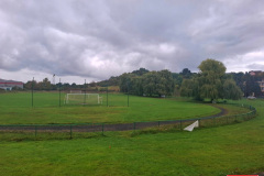 wierzby-placzace-stadion-drzewa-1