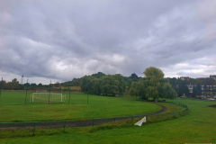 wierzby-placzace-stadion-drzewa-4
