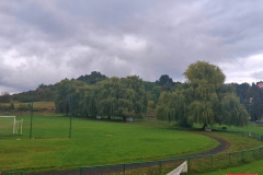 wierzby-placzace-stadion-drzewa-5