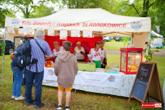 swieto-grzybow-w-Weglincu-zdjecia-2025-13