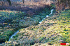 wody-polskie-Zbylutow-rzeka-5