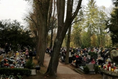 cmentarz w Lwówku Śląskim 2019