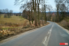 wycinka-drzew-przy-drodze-wojewodzkiej-04