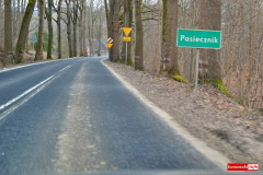 wycinka-drzew-przy-drodze-wojewodzkiej-11